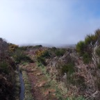 Madeira 2014-02-208.jpg